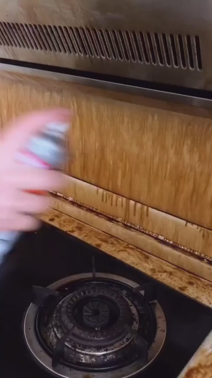 Multi-Purpose Stain Remover Foam Spray