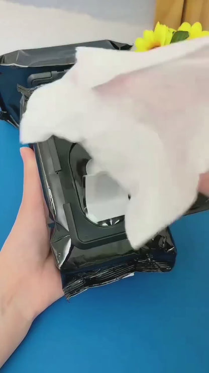 Shoe Cleaner Wipes (80 wipes)